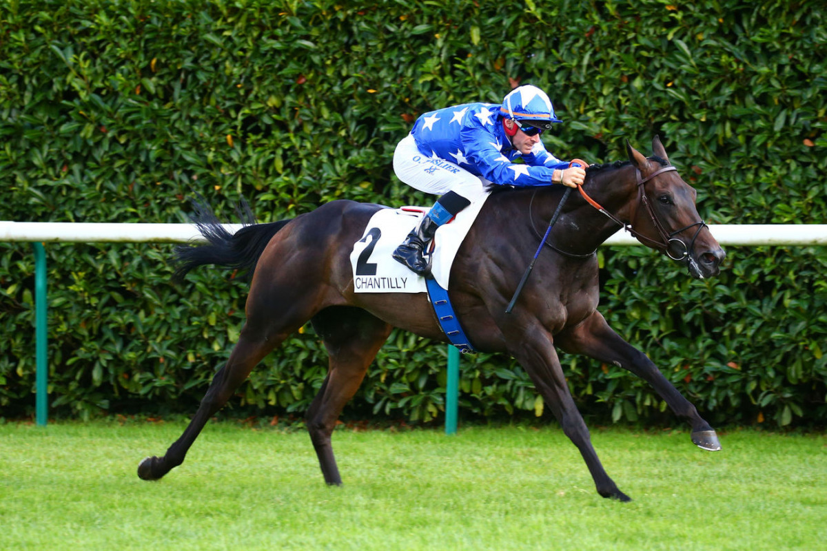 Jockey Olivier Peslier guiding Millau towards the finish line. Pic: Scoopdyga