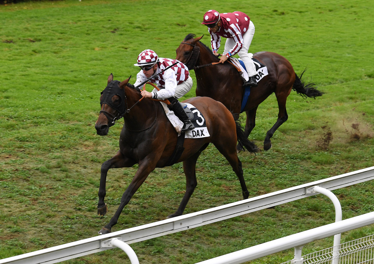 Myth Style takes the lead during yesterday's race.