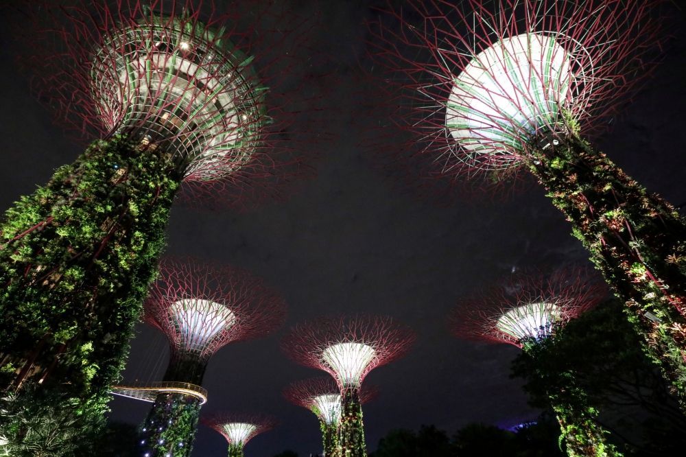 Artificial tree-like structures called Supertrees are seen before lights were switched off to commemorate Earth Hour, at Gardens By the Bay, in Singapore, March 27, 2021. Reuters/Dawn Chua/File Photo