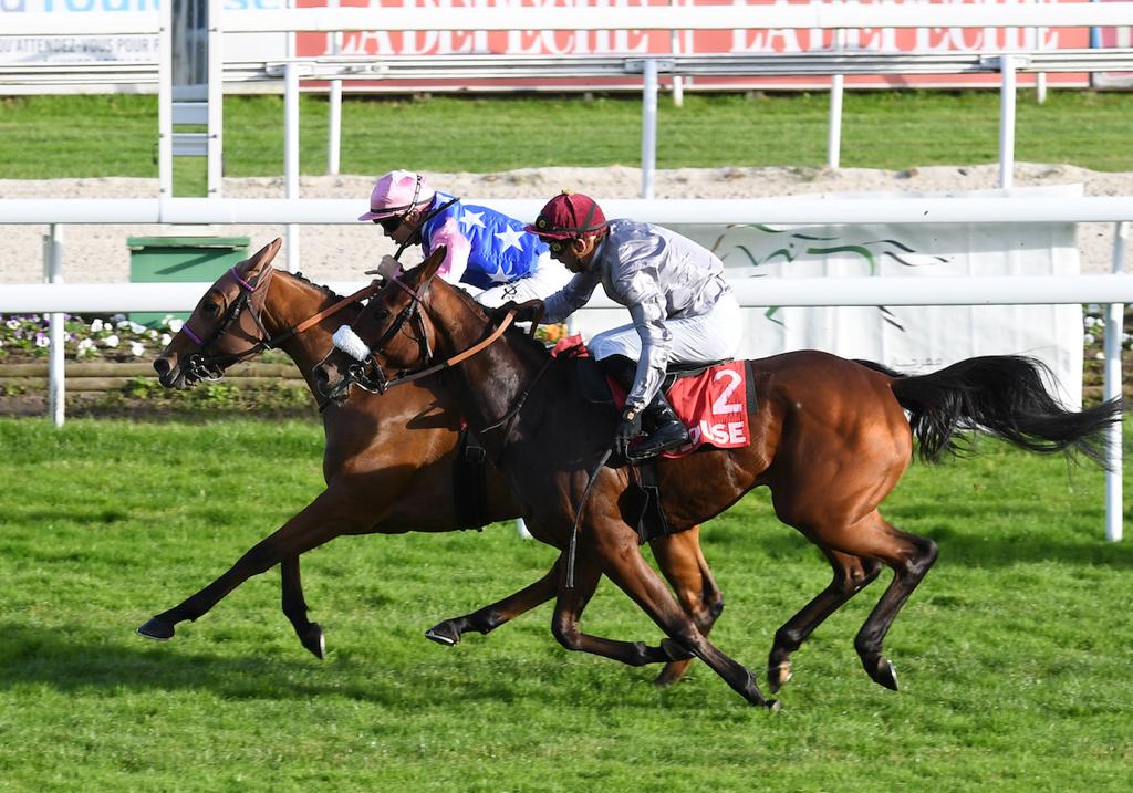 Image Du Croate races to another big victory in Toulouse. 