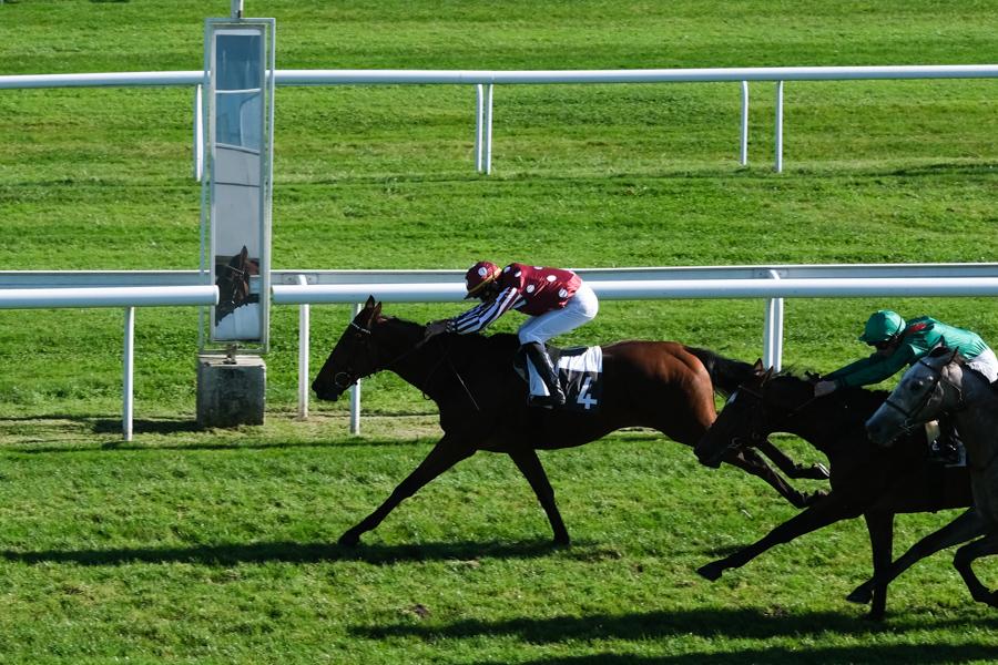 Jockey Alexandre Gavilan guides Zarakhan to victory. Pic: Laurent Ferriere