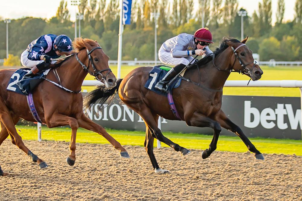 Jockey Ross Coakley guides Jilmod to win. Pic: Jonathan Hipkiss