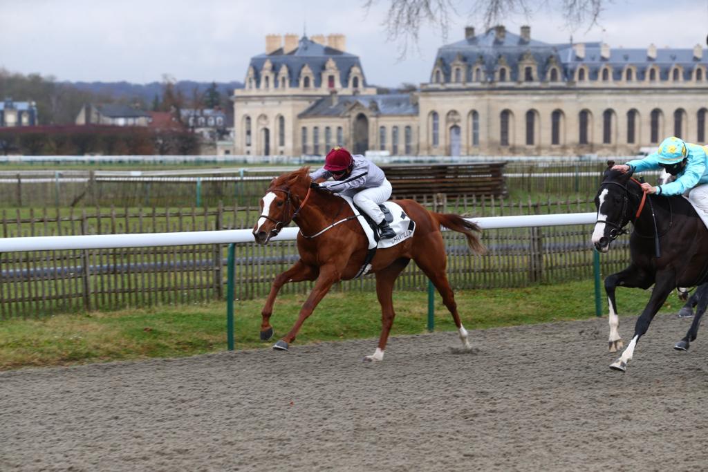 Clement Lecoeuvre guides Jouza to win. Pic: Scoopdyga
