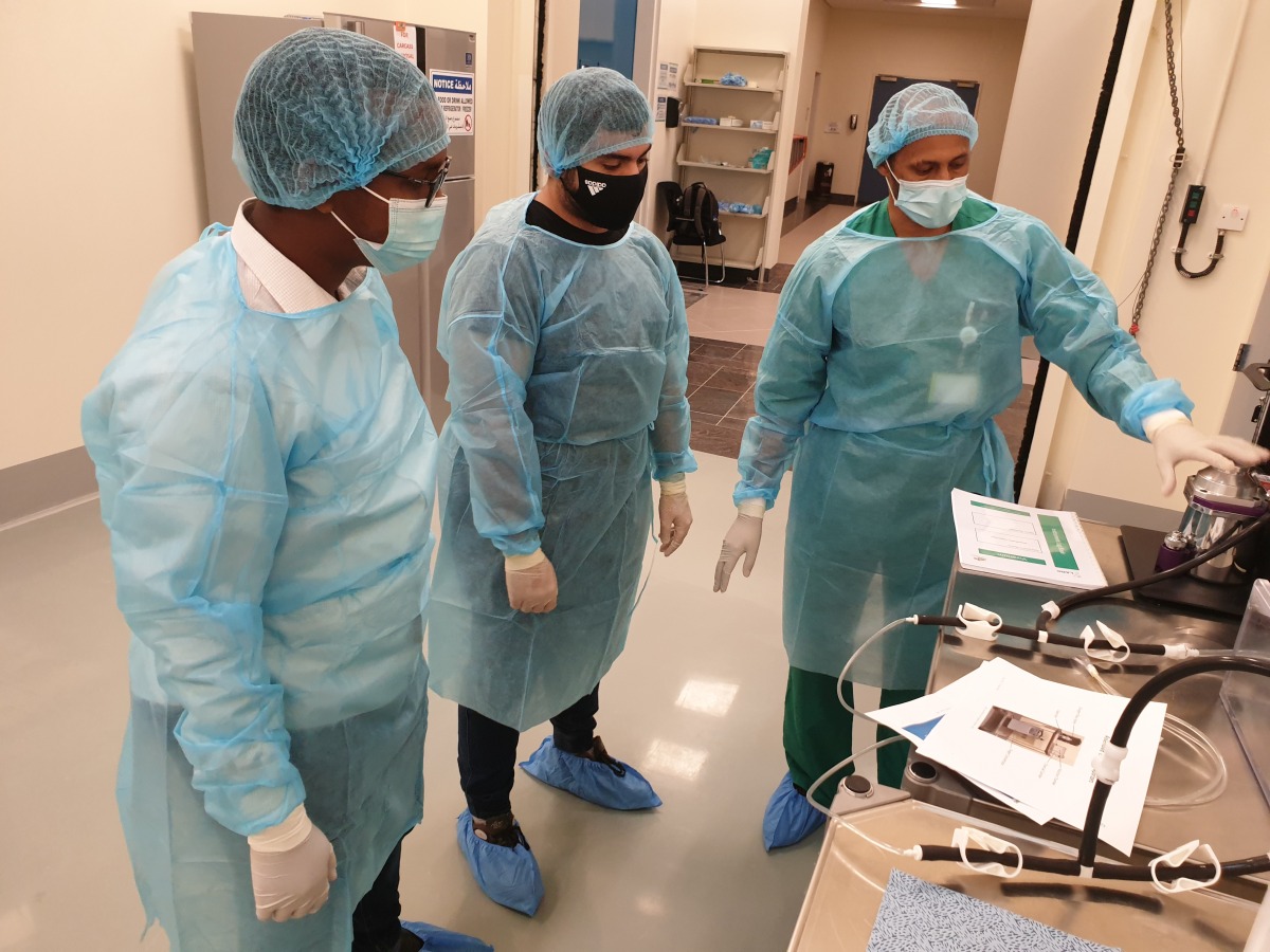 Students learning the basics of anesthesia and pain relievers used in experiments on laboratory rodents.
