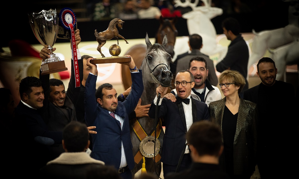 Al Shaqab officials celebrate after Siwar Al Shaqab emerged Junior Filly World Champion at the 2021 Arabian Horse World Championship in Paris.
