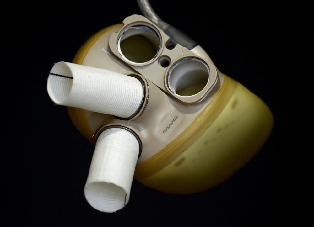 An artificial heart by French manufacturer Carmat is seen during an interview with Reuters in Velizy, near Paris, January 11, 2021. REUTERS/Christian Hartmann/File Photo