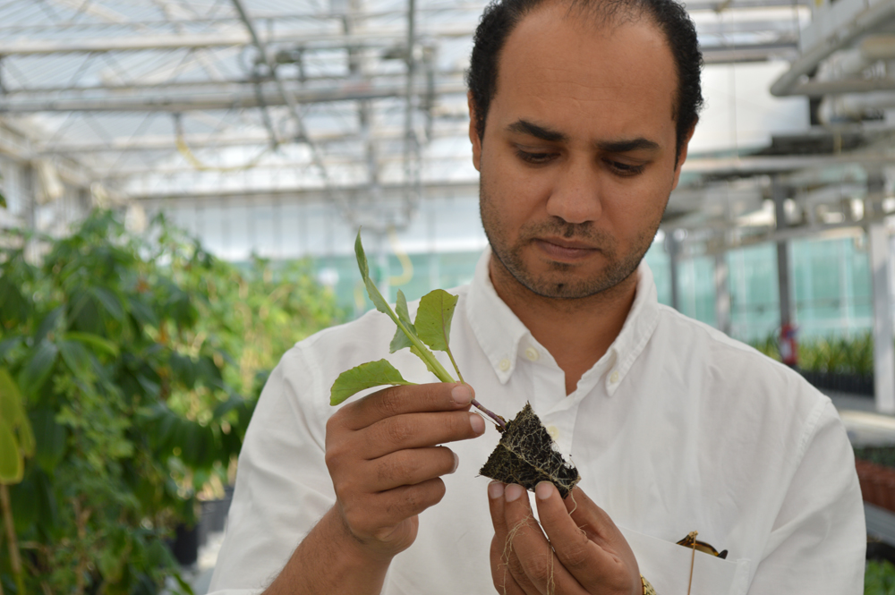Mohamed Hassona, Horticulturist at the Qur’anic Botanic Garden
