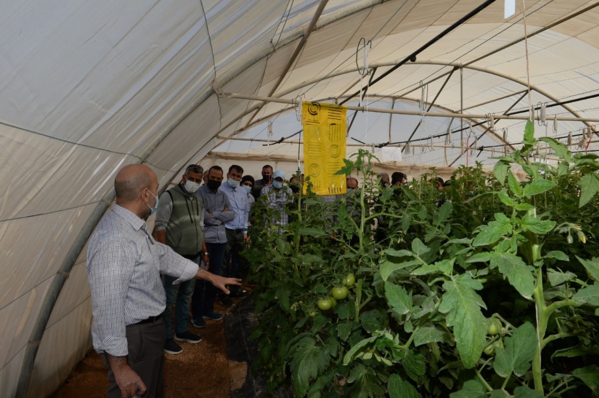 Local farmers learn about sustainable farming methods on the orientation field day.