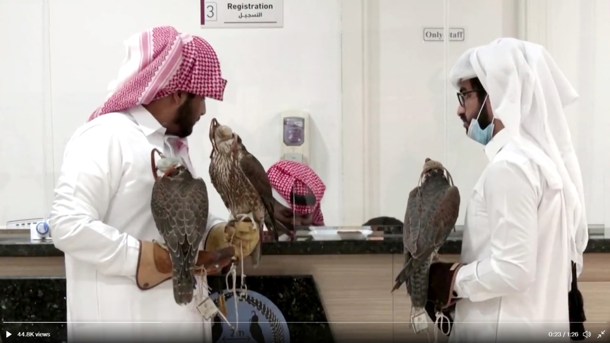 A screen grab from a Reuters video shows falcon owners registering their birds for an ID at Souq Waqif Falcon Hospital. 