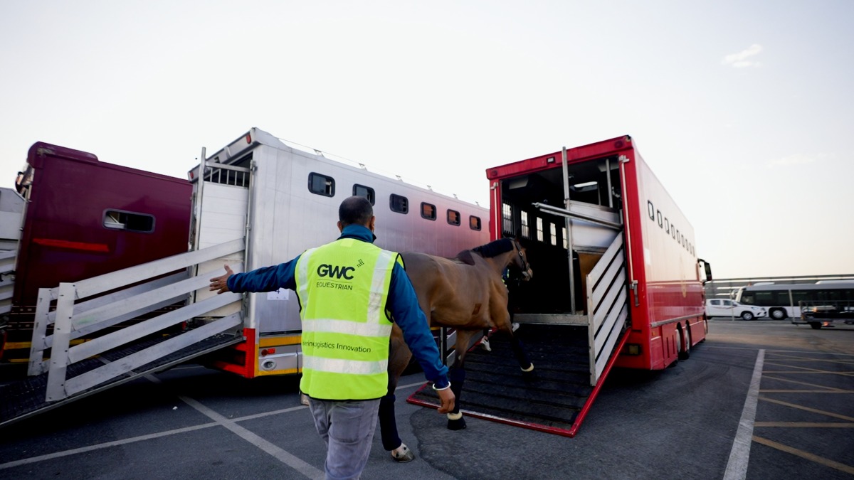 A staff from GWC’s Equestrian logistics unit during an event in Doha. 