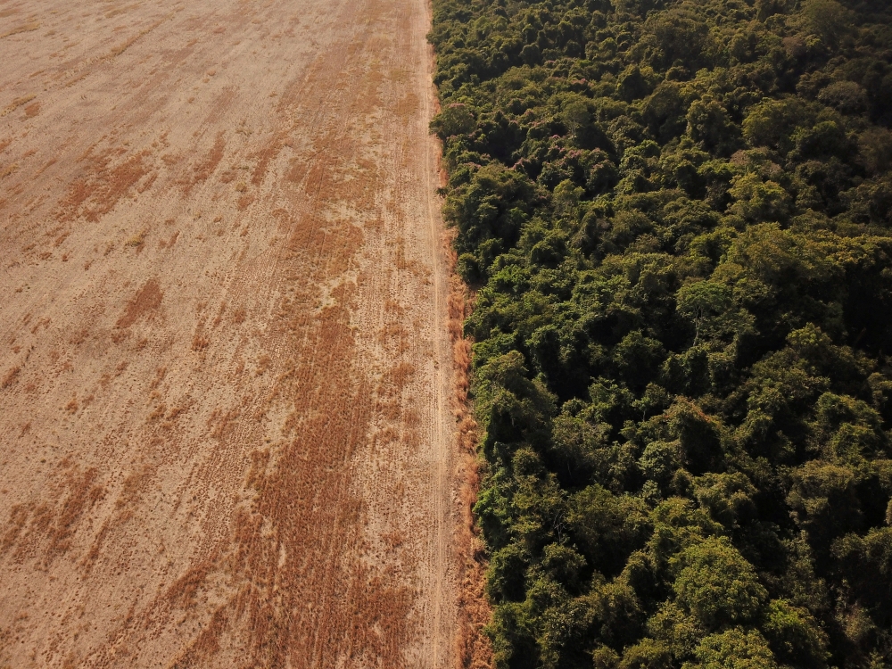 An aerial view shows deforestation near a forest on the border between Amazonia and Cerrado in Nova Xavantina, Mato Grosso state, Brazil July 28, 2021. Picture taken with a drone. REUTERS/Amanda Perobelli/File Photo