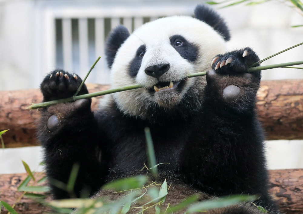 Reuters/File photo