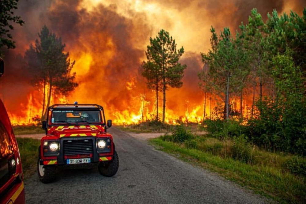 A view of trees burning amid a wildfire near Landiras, France, July 13, 2022 in this picture obtained from the fire brigade of the Gironde region (SDIS 33). SDIS 33/Handout via REUTERS