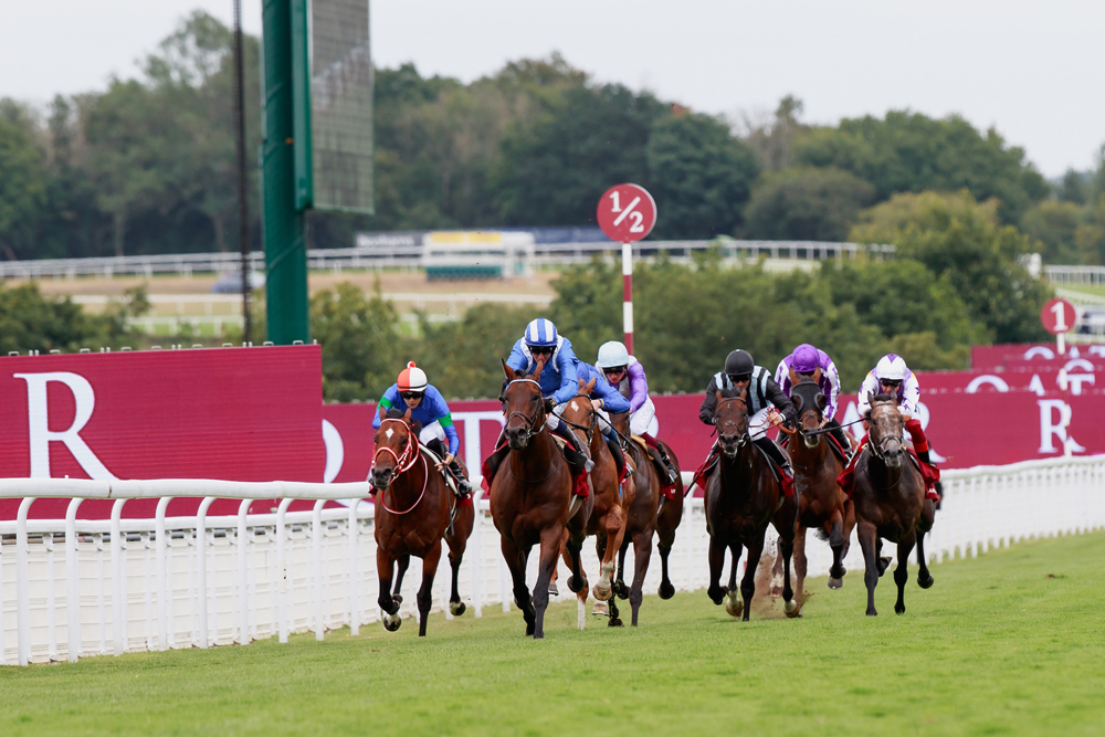 On Day 2 in the Qatar Sussex Stakes, Baaeed won the ‘Duel on the Downs’ title.