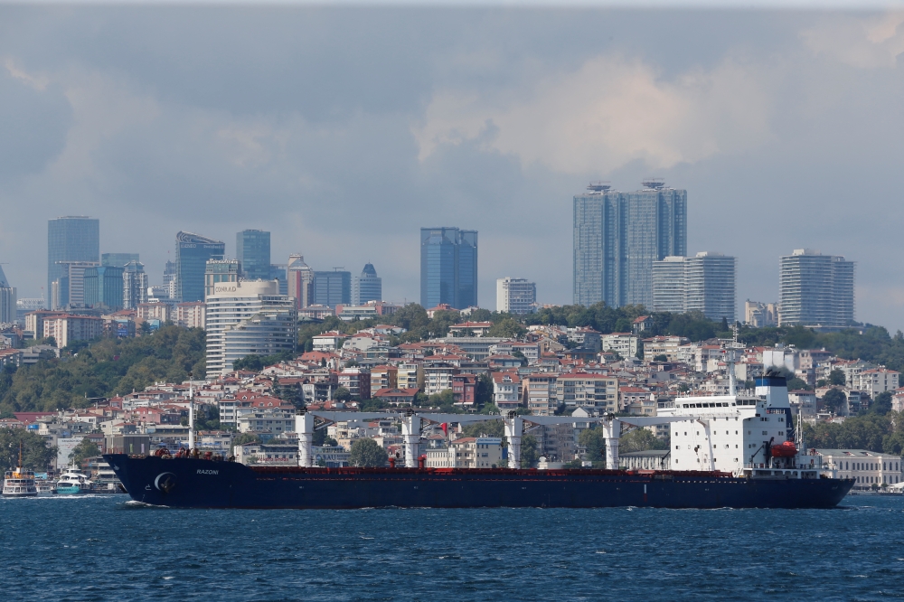 The Sierra Leone-flagged cargo ship Razoni, carrying Ukrainian grain, sails in the Bosphorus en route to Lebanon, in Istanbul, Turkey, August 3, 2022. (REUTERS/Dilara Senkaya)

