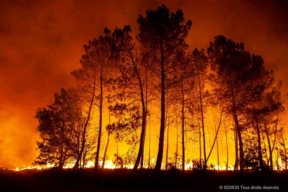 A wildfire burns near Hostens, as wildfires continue to spread in the Gironde region of southwestern France, in this handout photograph released on August 12, 2022. Courtesy SDIS 33/Handout via REUTERS
