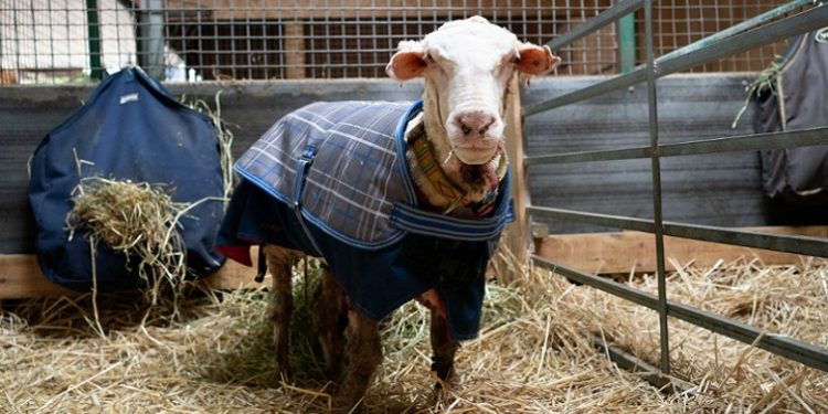 Reuters / File Photo