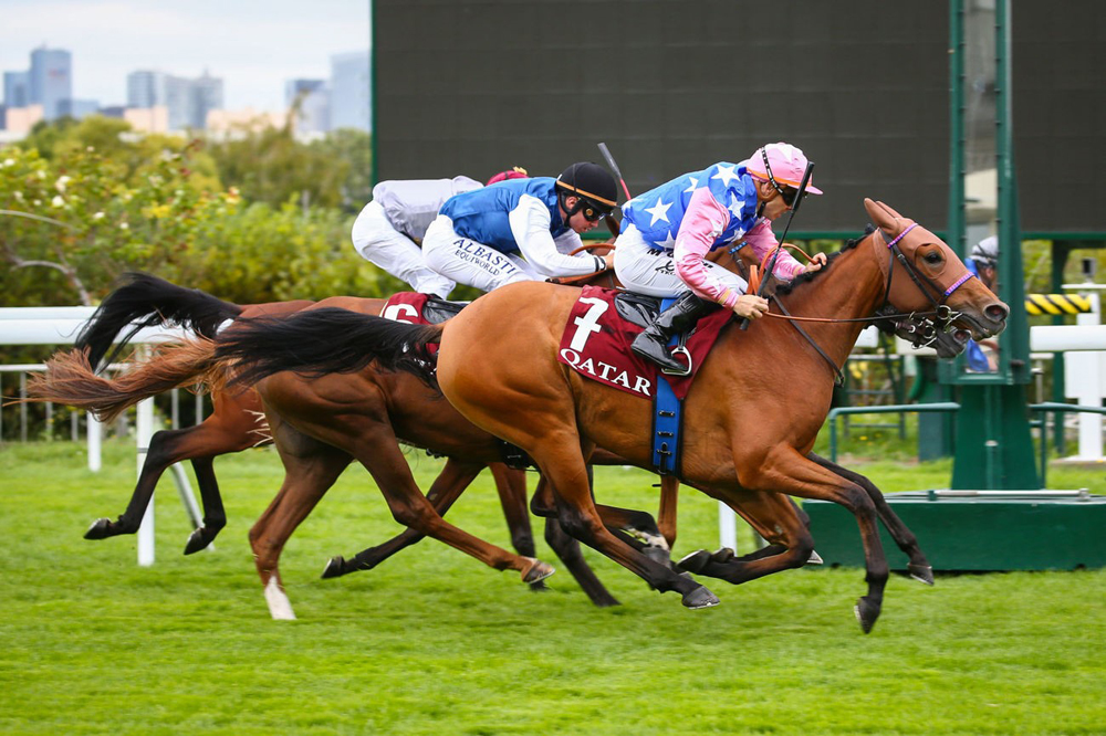 Image Du Croate, winner of Qatar Arabian Trophy for Fillies 2021. PICS: Zuzanna Lupa