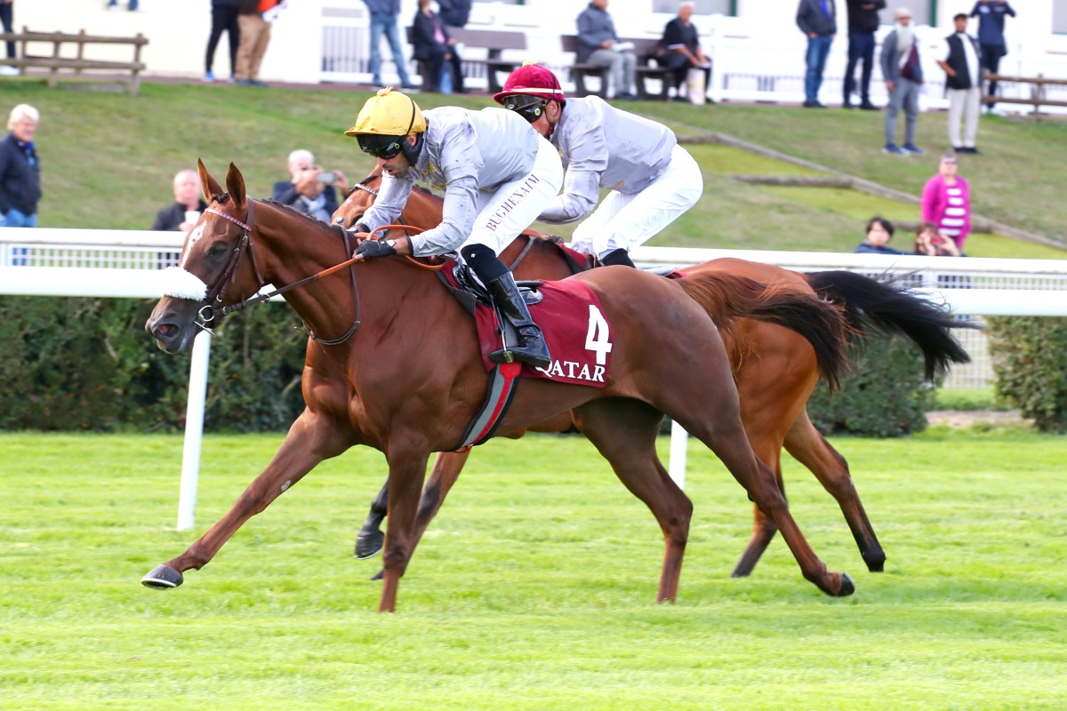 Nour Al Maury wins Qatar Arabian Trophy for Fillies. Pictures: Scoopdyga