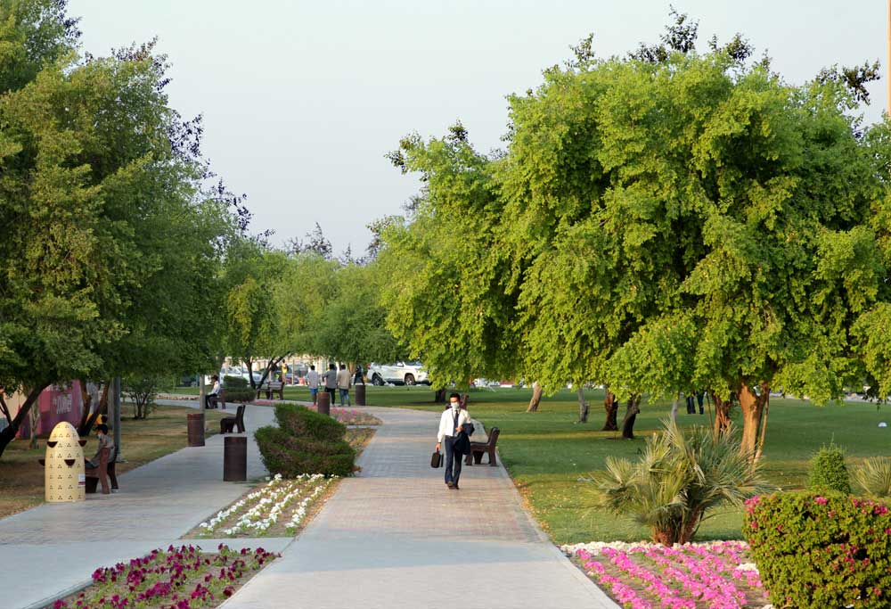 File photo for representation 