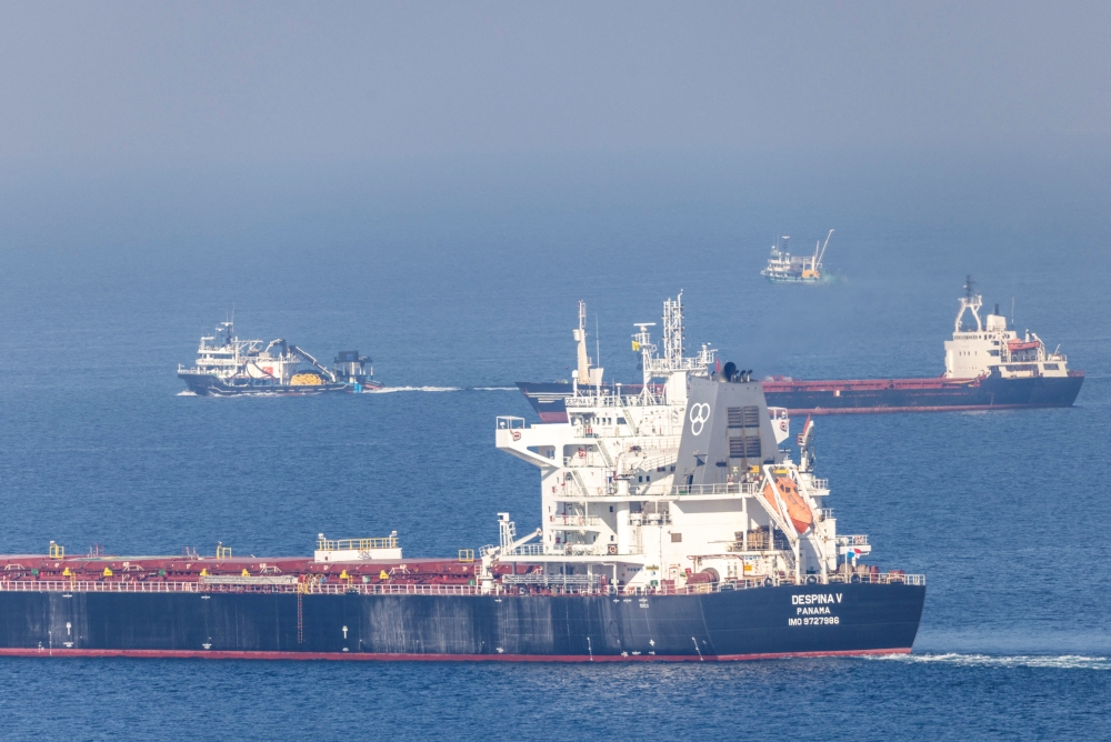 Cargo ship Despina V, carrying Ukrainian grain, is seen in the Black Sea off Kilyos near Istanbul, Turkey November 2, 2022. Reuters/Umit Bektas