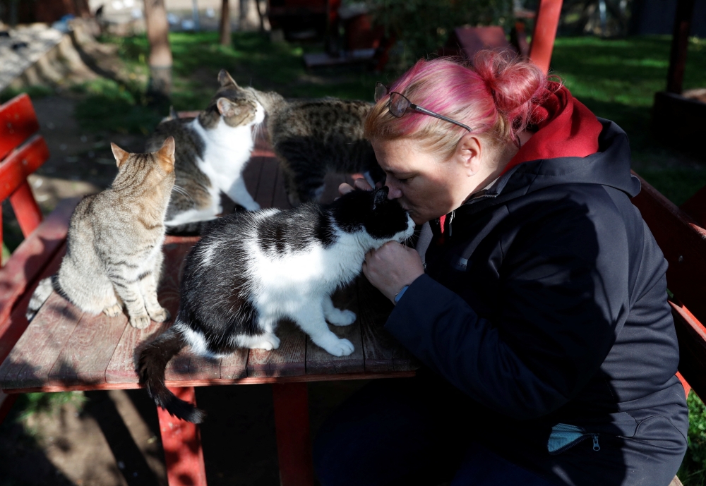 Kinga Schneider, spokesperson of Noah's Ark Animal Shelter interacts with a cat at the shelter in Budapest, Hungary, November 2, 2022. (REUTERS/Bernadett Szabo)