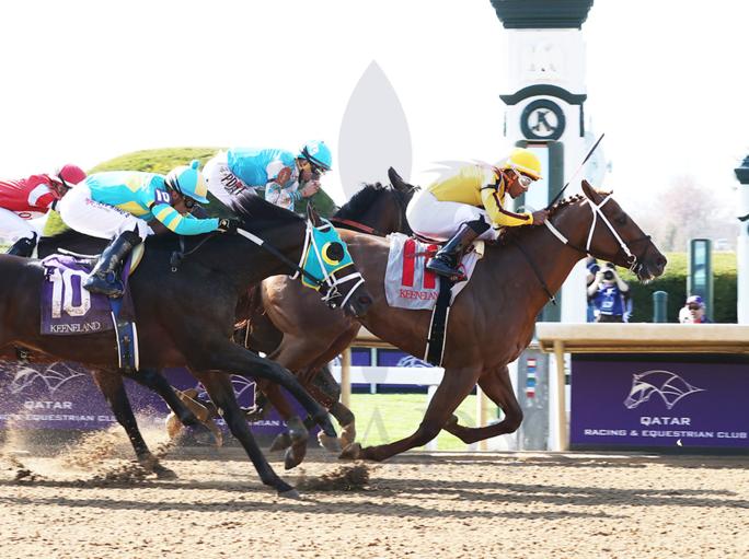 Marsalis and jockey Ricaardo Santana Jr on their way to win the race. Pictures: Coady Photography