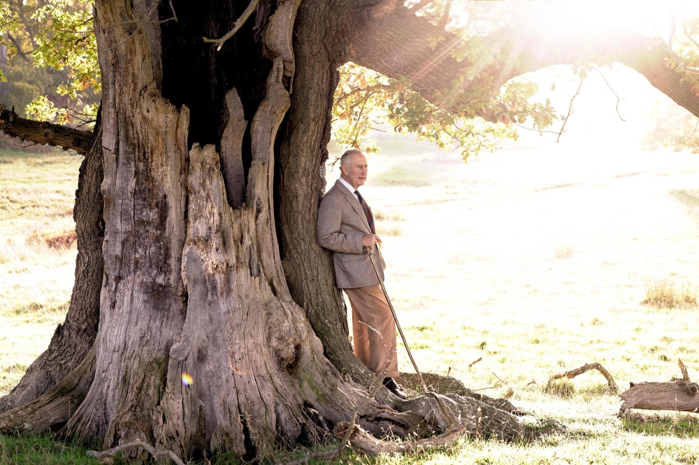 In this handout image issued by Buckingham Palace on November 14, 2022, Britain's King Charles III poses for a photograph with an ancient oak tree in Windsor Great Park to mark his appointment as Ranger of the Park. (Photo by CHRIS JACKSON / BUCKINGHAM PALACE / AFP)