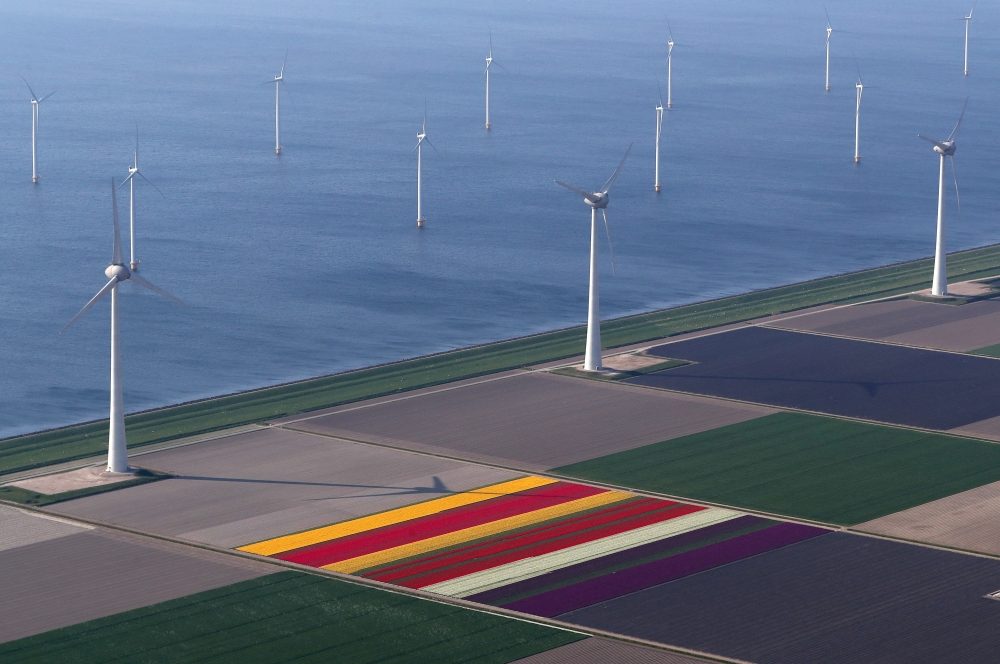 File Photo: An aerial view of tulip fields near the city of Creil, Netherlands. (Reuters/Yves Herman)