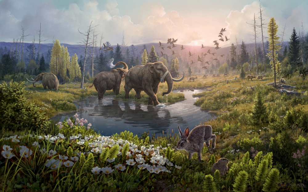 An artist's reconstruction shows the Kap Kobenhavn formation in northernmost Greenland two million years ago, at a time when temperatures were significantly higher than northernmost Greenland today, in this undated handout image obtained by Reuters on December 6, 2022. (Beth Zaiken/Handout via Reuters)