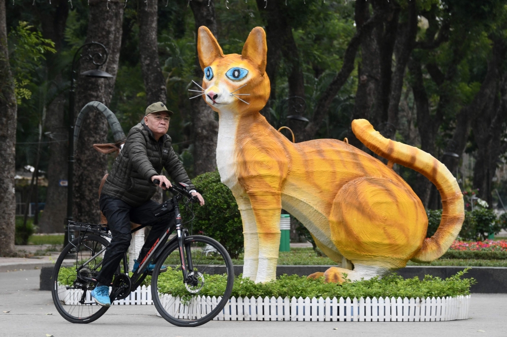 This photograph taken on January 16, 2023 shows a man riding a bicycle past a cat statue at Thong Nhat Park in Hanoi, ahead of the lunar new year. (Photo by Nhac NGUYEN / AFP)
