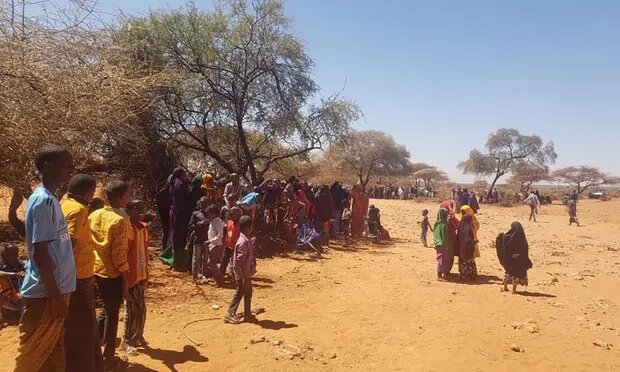 Somali refugees who fled recent clashes in Las Anod shelter in the open at Qoriley on the Ethiopian border. Photo credit: Aden Harun/UNHCR
