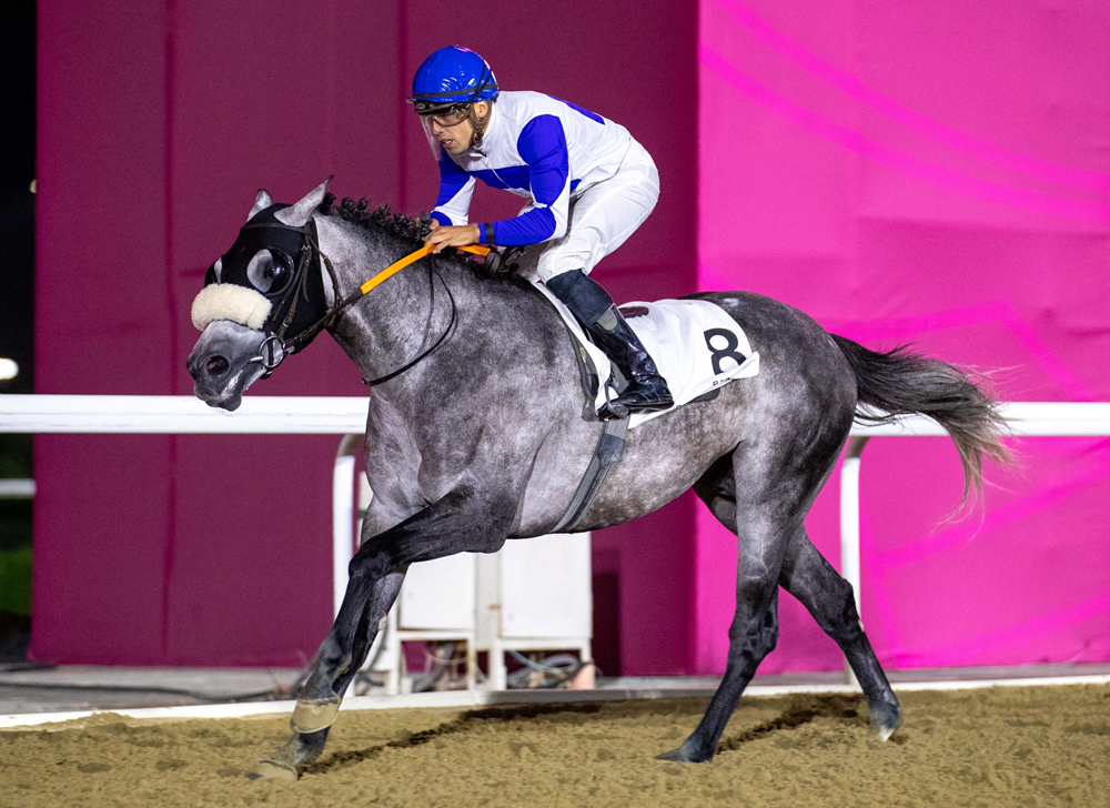 Soufiane Saadi astride Tajamhor during the feature at  Al Rayyan Racecourse on Wednesday night.
PIC: Juhaim/QREC