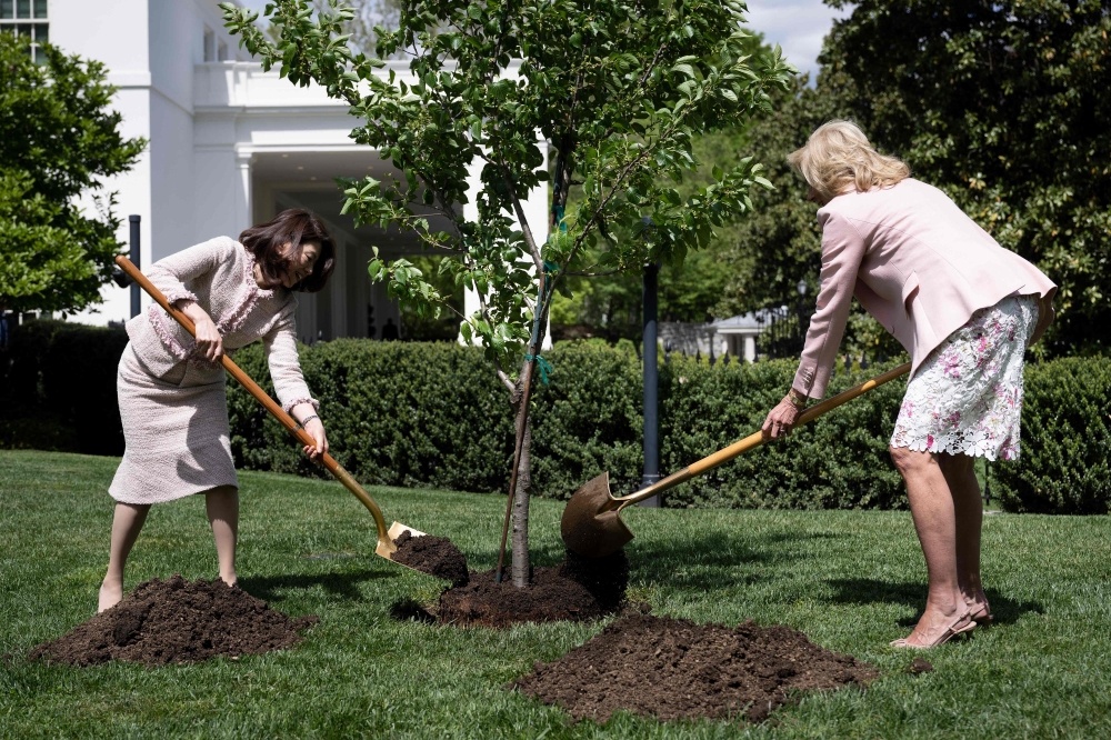 US First Lady Jill Biden and Yuko Kishida, spouse of Japanese Prime Minister Fumio Kishida, participate in a tree planting ceremony on the South Lawn of the White House in Washington, DC, on April 17, 2023. (Photo by Brendan Smialowski / AFP)