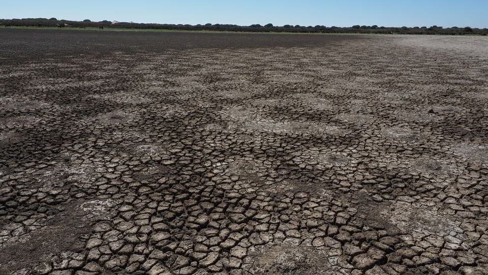 File photo: The lagoon of Santa Olalla is seen dried out at Donana National Park, southern Spain, August 22, 2022. (Estacion Biologica de Donana (EBD-CSIC) via Reuters)