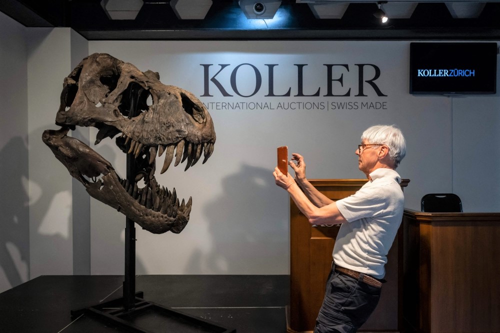 A man takes a picture of the skull of 'Trinity' prior to the sale of the skeleton of the Tyrannosaurus-Rex (T-Rex) by Koller auction house in Zurich, on April 18, 2023. (Photo by Fabrice Coffrini / AFP)