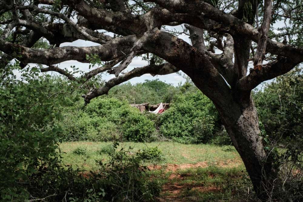 A photograph shows an abandoned house in the forest that buried bodies have been exhumed in Shakahola, outside the coastal town of Malindi, on April 23, 2023. (Photo by Yasuyoshi CHIBA / AFP)