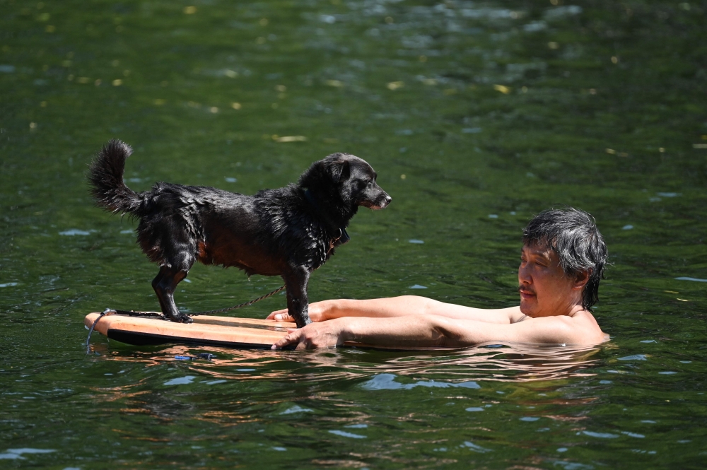 A man swims with his dog in a canal in Beijing on June 22, 2023. Photo by GREG BAKER / AFP