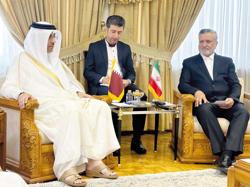 Minister of Labour H E Dr. Ali bin Smaikh Al Marri and Iranian Minister of Cooperatives, Labour and Social Welfare H E Solt Mortazavi during a meeting in Tehran, yesterday.