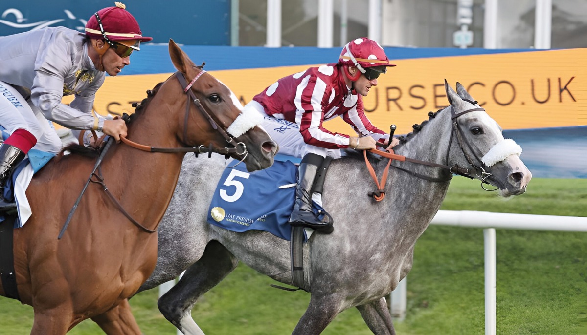 Carrying the colours of H H Sheikh Abdullah bin Khalifa Al Thani and under the care of trainer Thomas Fourcy, the talented filly put in a career best effort to land  the Gr.1 (PA) UAE President Cup - UK Arabian Derby - at Doncaster in England on Saturday evening. Pics: Debbie Burt