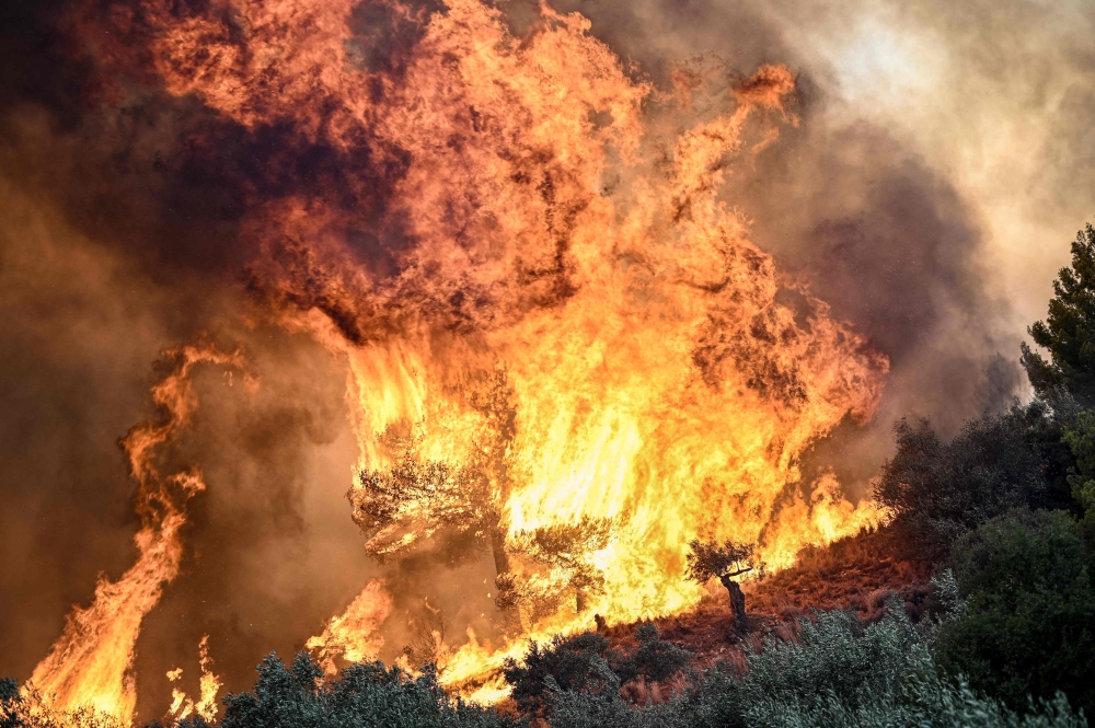 A photo shows flames burning vegetation during a wildfire near Prodromos, 100km northeast from Athens, on August 21, 2023. Photo by Spyros BAKALIS / AFP


