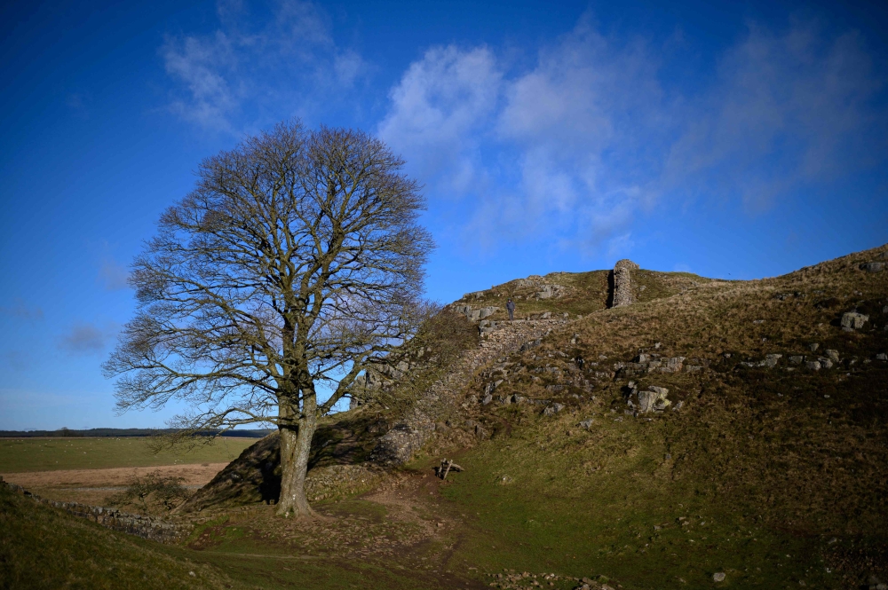 A man views a section of Hadrian's Wall near the wall's milecastle 39 known as Sycamore Gap near Hexham, northern England, on January 19, 2022. Photo by OLI SCARFF / AFP