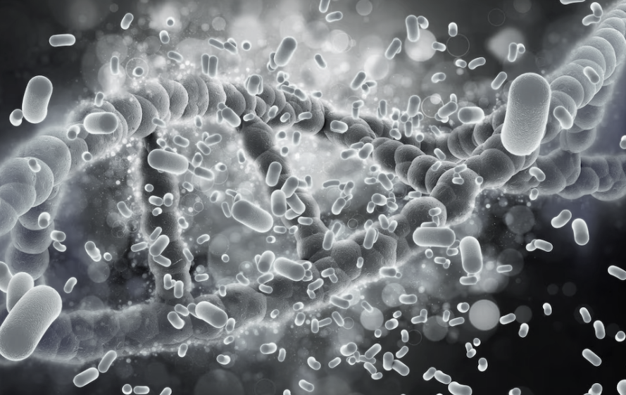 Representative image only