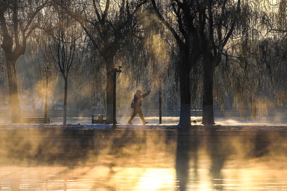 This photo taken on November 12, 2023 shows a person walking along a lake at Beiling Park in Shenyang, in China's northeastern Liaoning province. Photo by AFP