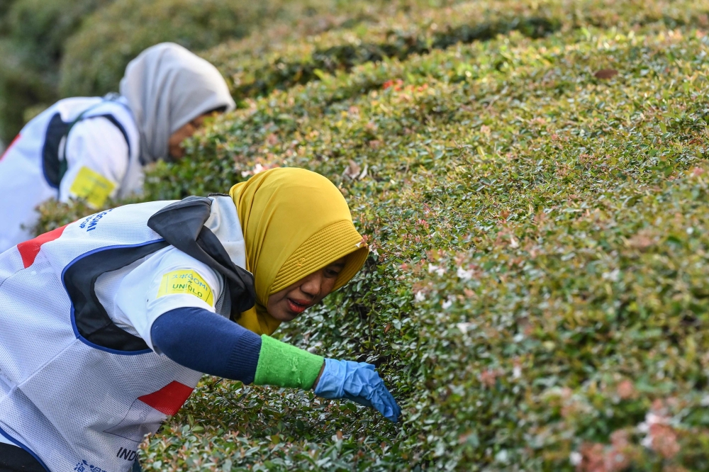 Members of Indonesia search in the bushes for rubbish during the first round of the 