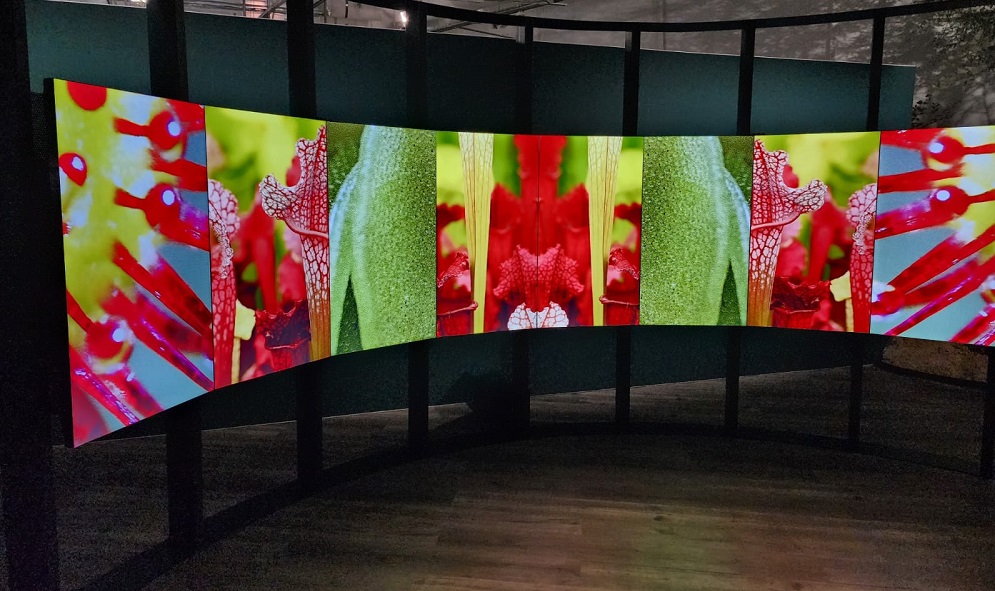 An interactive display at the Biodiversity Museum of Expo 2023 Doha.