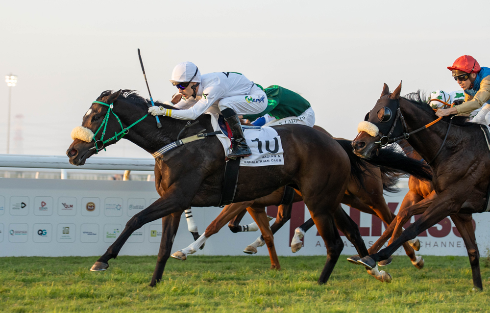 Carlos Henrique guides Al Harqah to victory. PIC: Juhaim/QREC 