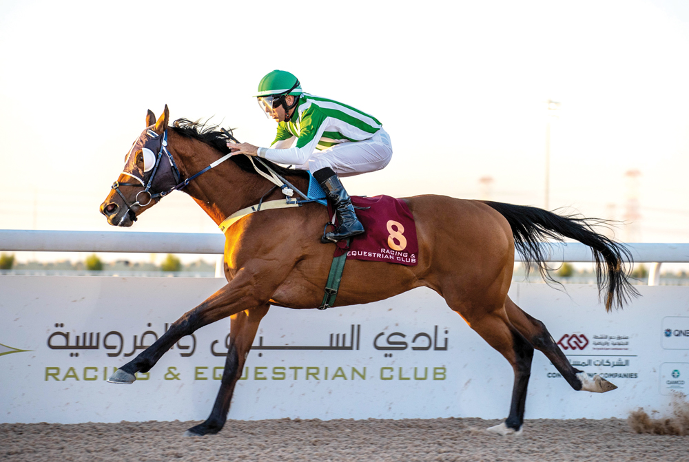 Ivan Rossi guides Goldingreatstore towards the finish line.