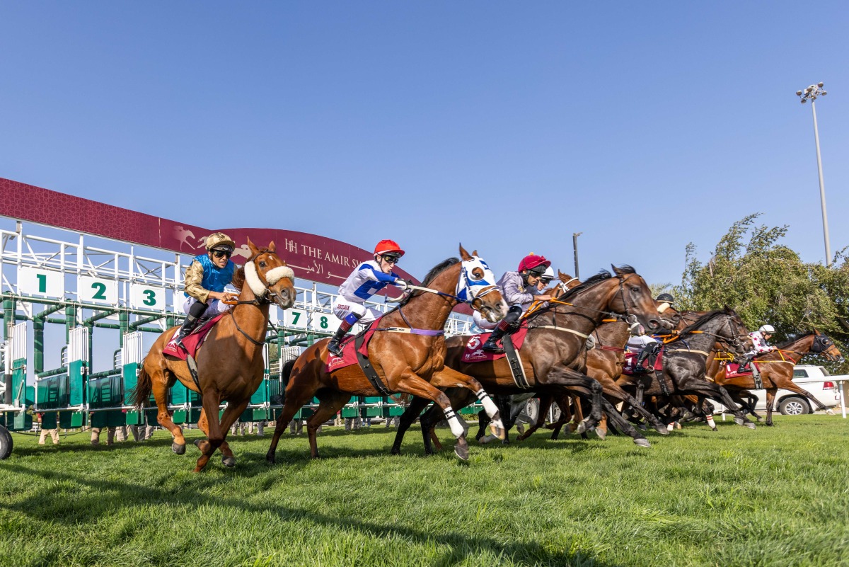 Horses compete during the previous edition of the prestigious Festival.