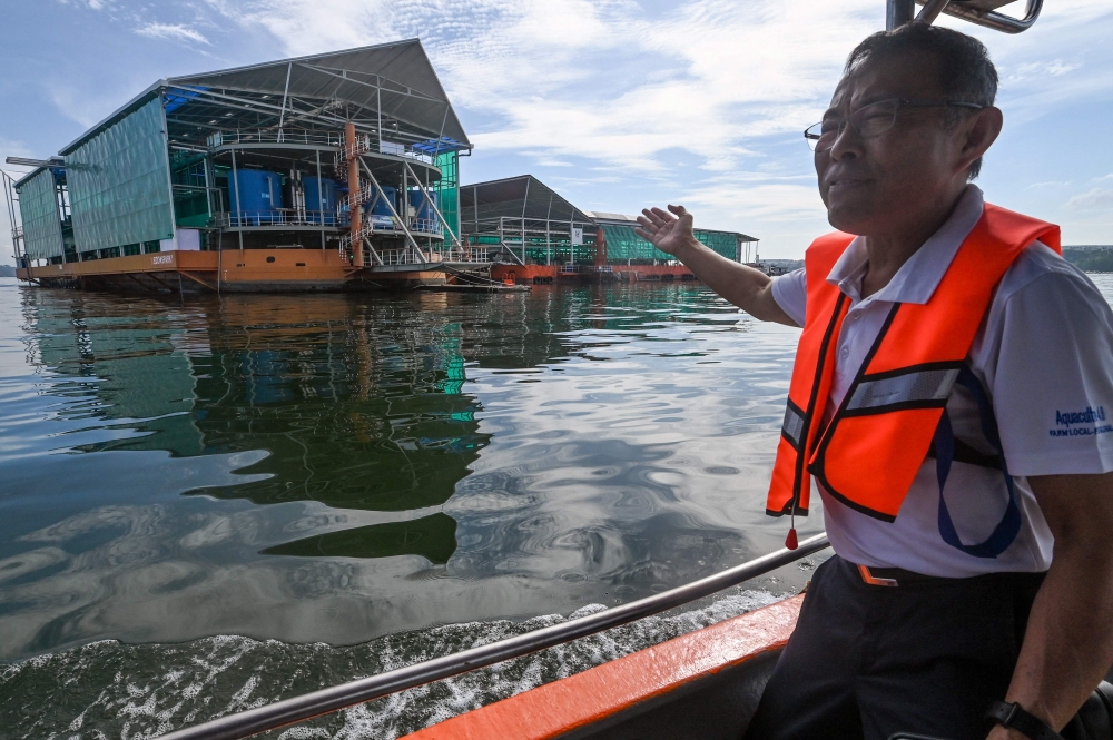 This photograph taken on December 6, 2023 shows Leow Ban Tat, CEO and founder of the Aquaculture Centre of Excellence (ACE) Farm Eco Ark fish farm, outside the facility in Singapore. (Photo by Roslan Rahman / AFP)